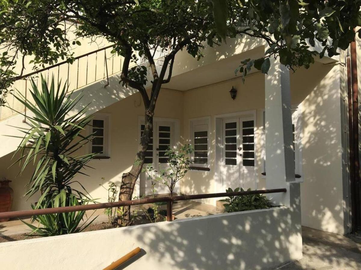 הוילה Aguim Casa Milheiro - Sunny Garden In Porto מראה חיצוני תמונה
